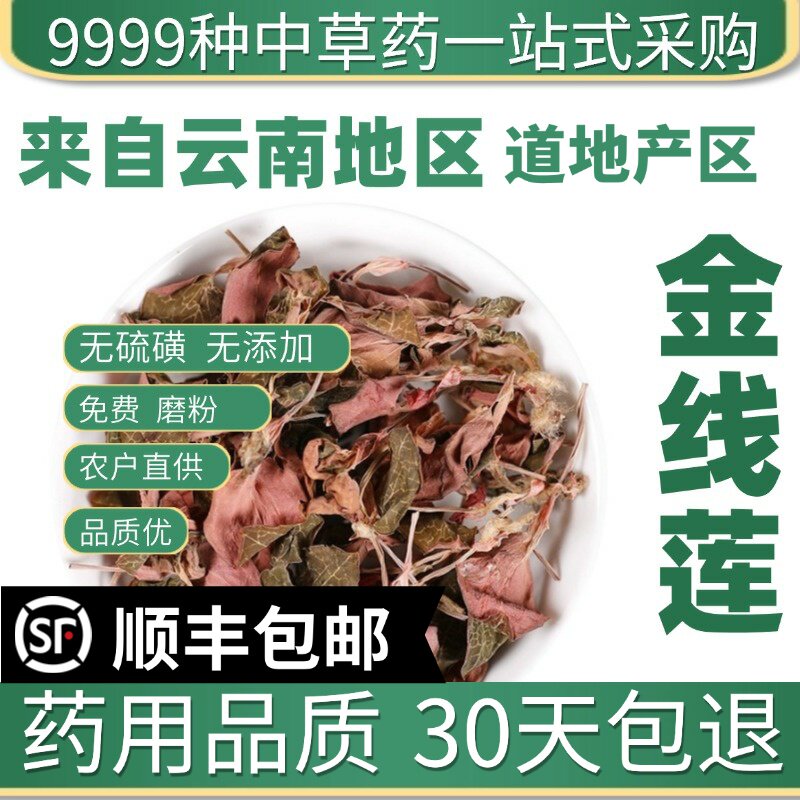 材福建特级金线莲新鲜干品新货金钱莲整株泡茶药用10克