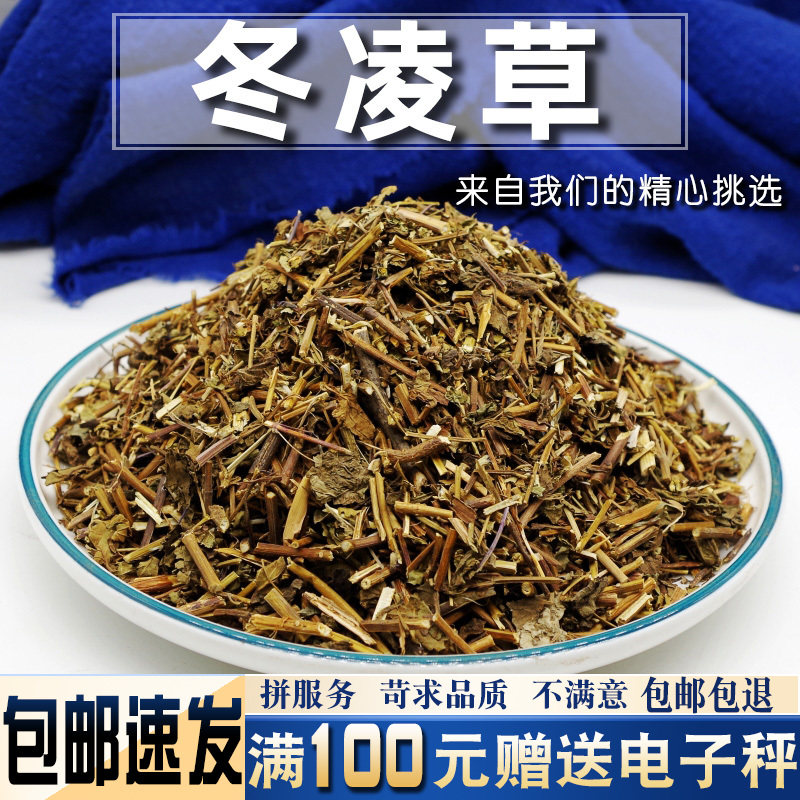冬凌草500克中药材当季新货全草泡水深山非非野生冬凌草泡水