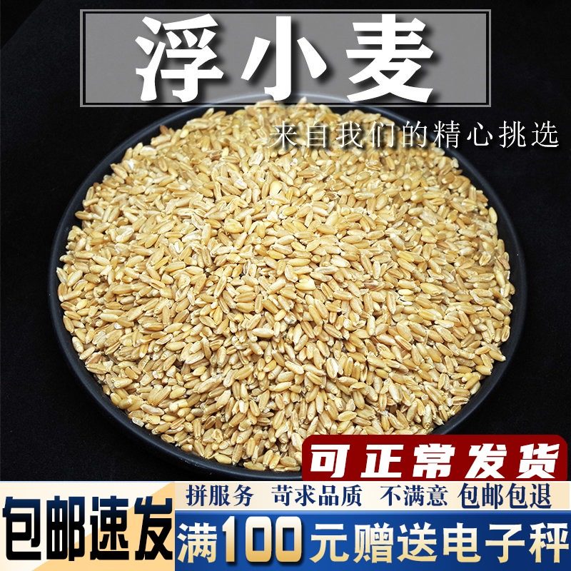 浮小麦500克干货无流泡水中药材小麦瘪子麦米水新品极速发货