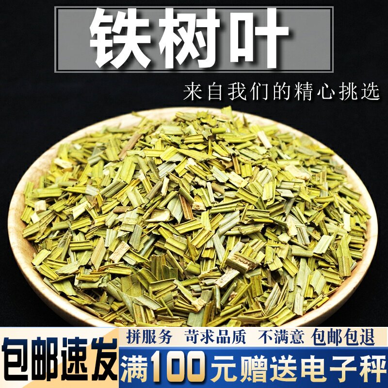 铁树叶500克 中药材干货无流非野生中药材另售半枝莲百白花蛇草