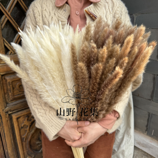 永生小芦苇干花花束森系风客厅装饰插花ins北欧复古造景拍摄道具