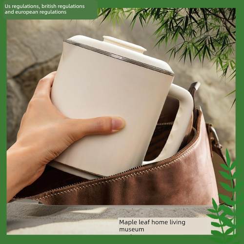 304316不锈钢电煮锅水壶美国和英国规定