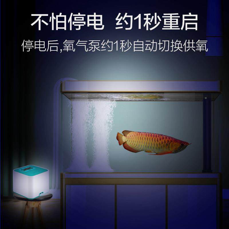 鱼型缸氧气泵增氧泵充电两用静音20102220养小增氧机户外便鱼携式,宠物/宠物食品及用品,冲氧泵,淘宝优惠券,粉丝福利购,淘宝优惠卷