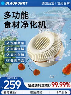 蓝宝小旋风果蔬清洗机多功能家用食材净化机果蔬净化器洗菜去农残