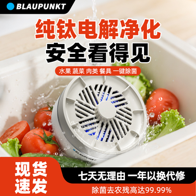 德国蓝宝果蔬清洗机全自动洗菜机