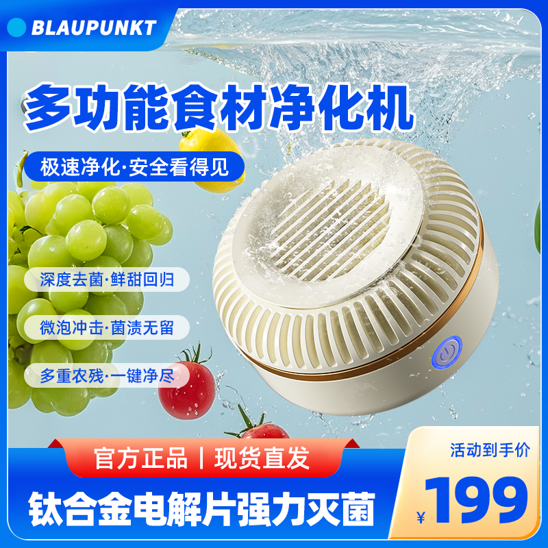 蓝宝家用/户外食材去农残净化机