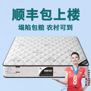 帝诗菲弹簧床垫十大名牌软硬两用20CM经济型乳胶海椰棕马家用租房