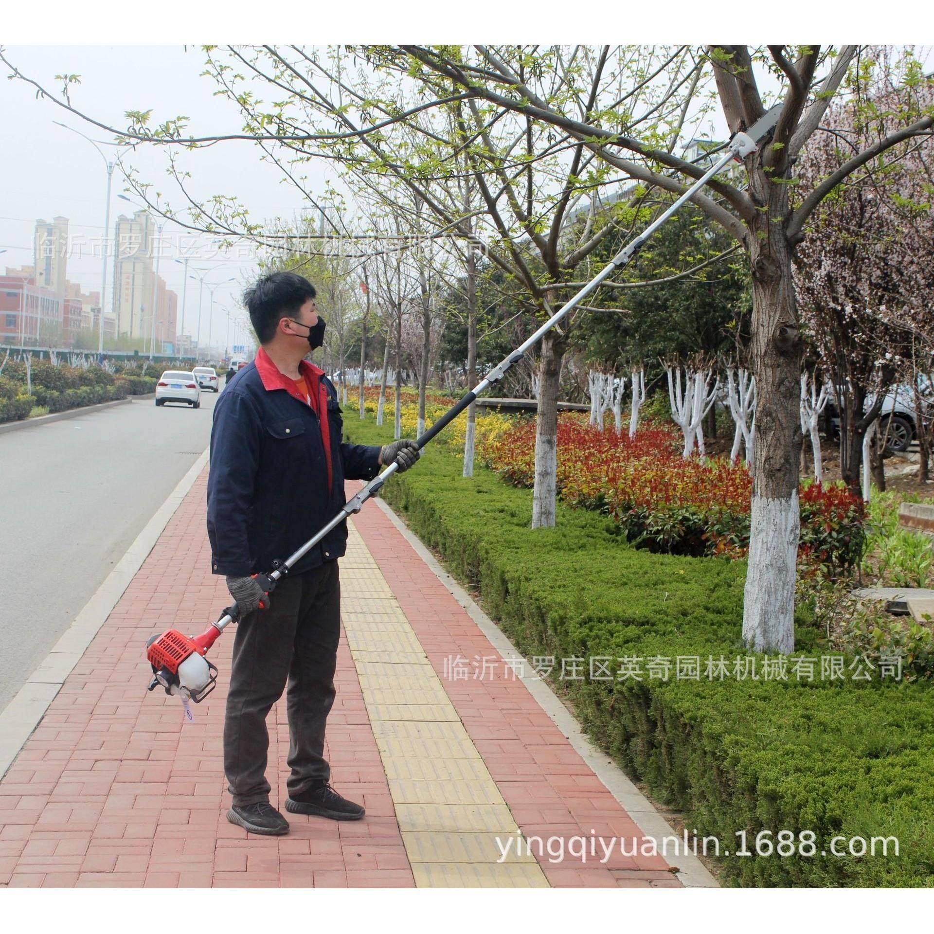 厂销出口 3米4节杆 高枝锯割草机高空树枝修剪机园林剪树枝工具,农机/农具/农膜,割灌机/割草机/油锯,淘宝优惠券,粉丝福利购,淘宝优惠卷
