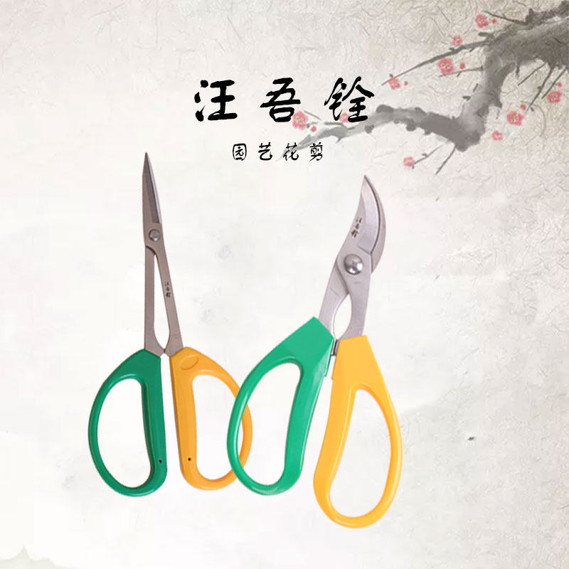汪吾铨剪刀修枝剪叶园艺剪刀修果树草粗枝细叶多功能家用果树盆景
