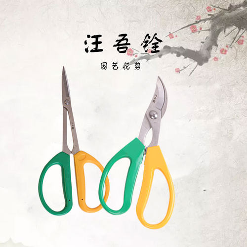 汪吾铨剪刀修枝剪叶园艺剪刀修果树草粗枝细叶多功能家用果树盆景