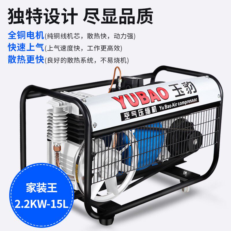 有油空压机皮带式压缩机家装喷漆王充气泵高压木工220V喷漆王打气