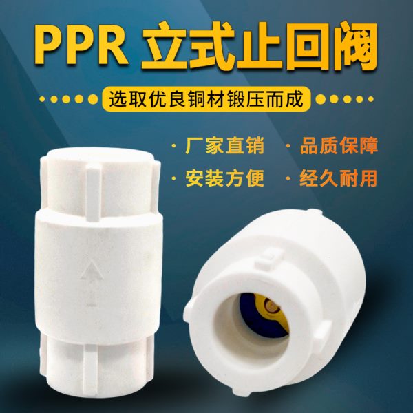 PPR立式止回阀单向阀4分6分20/25PP-R水管止逆阀弹簧铜芯立式止回