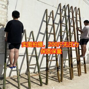家用工程电力直梯工程梯子幼儿园竹梯 竹梯竹梯子直梯2米3米4米