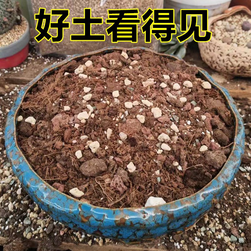龙舌兰专用土配方颗粒土营养土盆栽种植土沙漠玫瑰多肉块根植物土