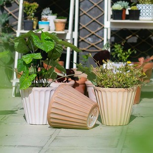 红陶花盆斜身铁桶形透气吸水多肉绿萝兰花北欧简约阳台种植陶土盆