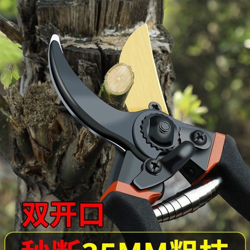 德国进口剪树枝专用剪刀园林果树省力修枝剪sk5园艺修花粗枝剪子