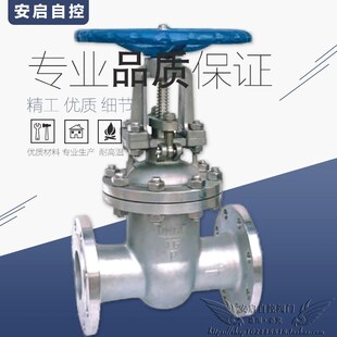 Z41W-40P化工高温高压蒸汽导热油304/316不锈钢法兰闸阀DN15-300