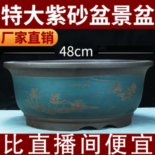 紫砂特大号盆栽绿萝君子兰老桩阳台种菜种树花盆特价清仓陶瓷盆景