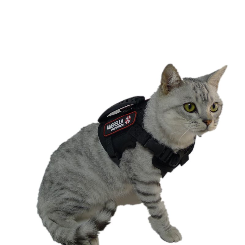 猫咪牵引绳胸背带战术马甲衣服链子外出背心式遛猫小型狗幼犬套背