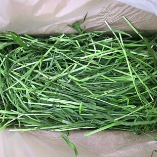 2023优质烘干提摩西草段南提全叶南提豚鼠兔子草粮食兔子豚鼠粮食