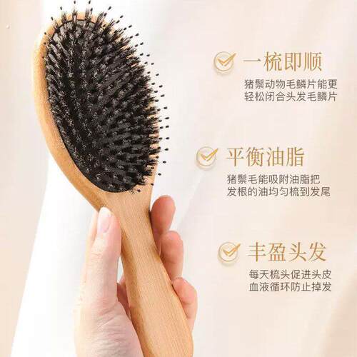 猪鬃毛梳子女士专用长发气垫梳按摩头部经络家用可携式气囊小梳子