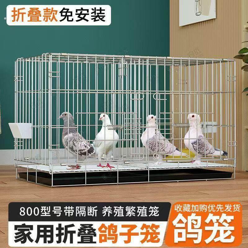 鸽子笼加加密鸽子家用配对笼两层鸽子笼大号特大号繁殖鸽笼工厂