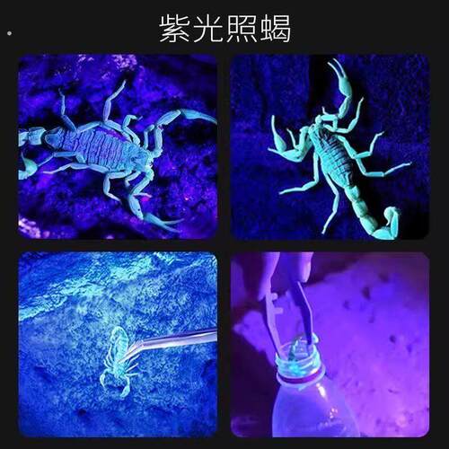 照蝎子紫光灯验钞灯95紫外线手电筒可充电大功率超强鉴定灯