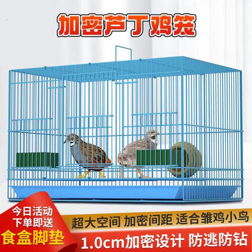 芦丁鸡笼专用笼加密加大空间鹌鹑笼室内家用雏鸡笼小鸡笼大空间