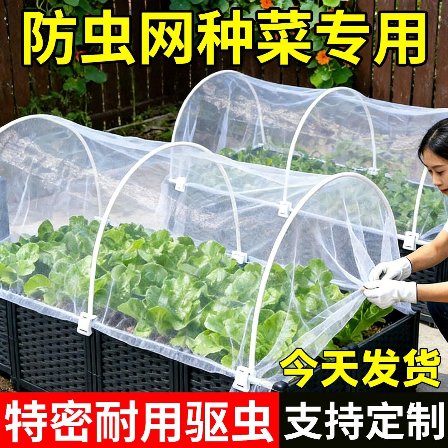 防虫网种菜专用新型80目加厚农用大棚蔬菜驱虫纱网果树网罩菜地网
