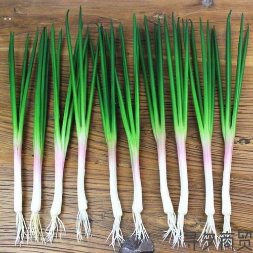 仿真小葱模型假的蔬菜店铺橱柜装饰品拍照摄影道具摆设