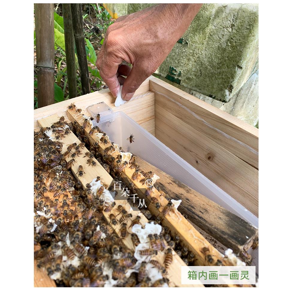 蜜蜂一画灵蜂箱防蚂蚁驱赶蟑螂喂蜂专用养护工具中蜂百朵千丛