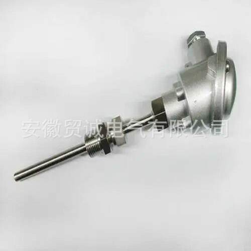 贸诚仪表WRN2-220 WRN2-220A双支铠装热电偶 0-1100℃