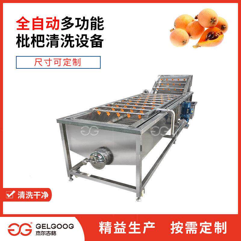气泡式洗琵琶水果机器 食品加工厂洗果选果生产线 琵琶清洗机设备
