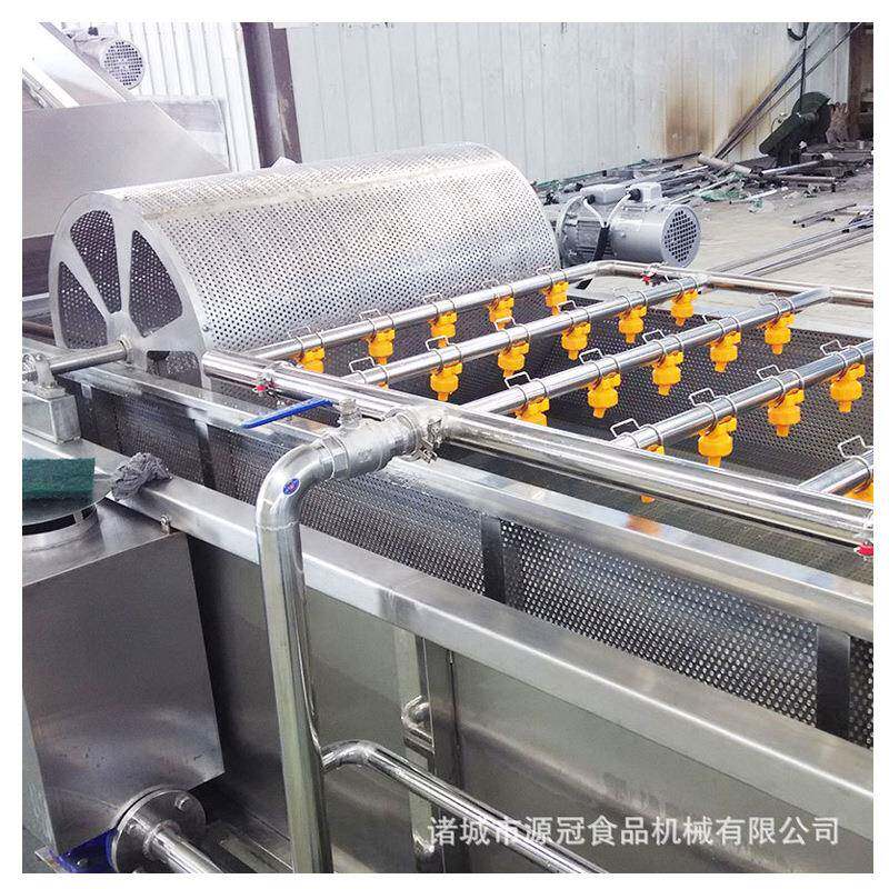 供应葡萄干气泡清洗机 大枣红枣清洗机厂家 连续自动洗果机