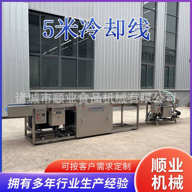 诸城厂家果蔬脆巧克力裹涂冷却流水线 冻干草莓巧克力涂层冷却机