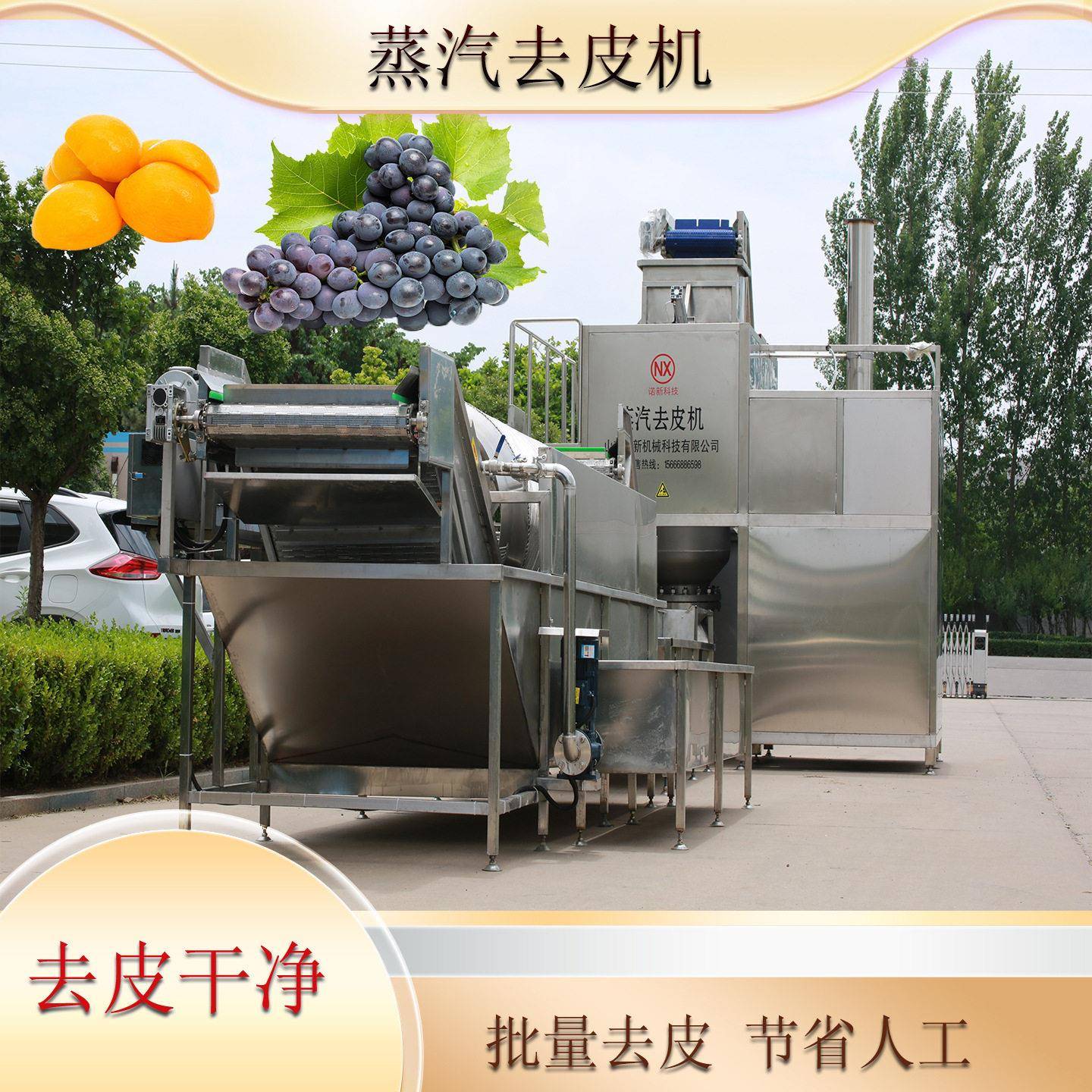 西红柿蒸汽去皮机 薯条薯片加工去皮设备  温烫皮削皮机