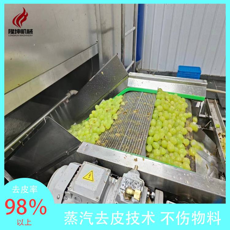 蒸汽去皮机 葡萄加工流水线设备厂 纯物理全自动水果罐头加工设备