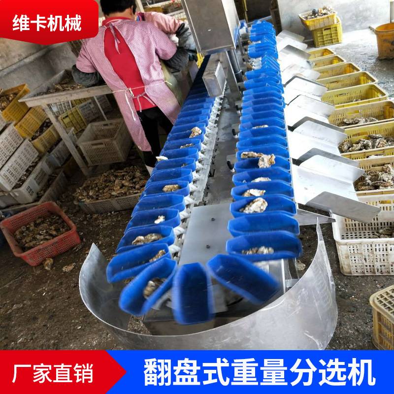 猕猴桃土豆重量分选机 翻盘式果蔬分级机器 全自动分拣设备厂家