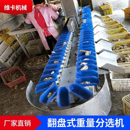 猕猴桃土豆重量分选机 翻盘式果蔬分级机器 全自动分拣设备厂家