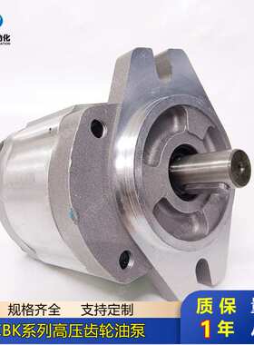 高压齿轮泵CBK1012-B1FR CBK1016-B1FR CBK1020-B1FR CBK1025-B1F