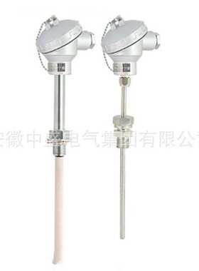 耐磨热电阻WZPN2-230K-B PT100 M27*2插深380mm双芯耐磨