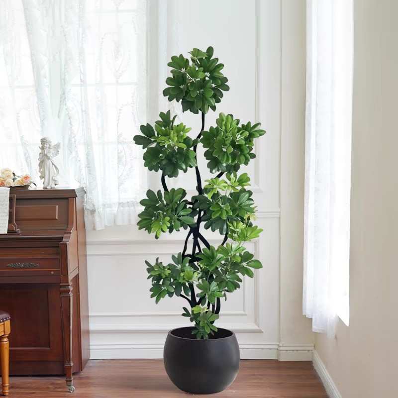 造型鸭脚木客厅大盆栽鸭掌木鹅掌柴室内绿植大型四季常青真花植物