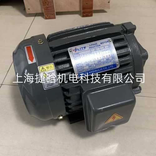 AILITE电机1HP 0.75KW 2HP 1.5KW 3HP 2.2KW 5HP 3.7KW马达