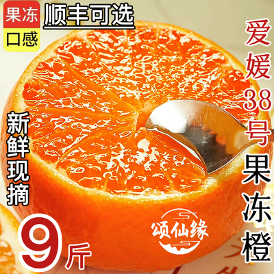 正宗四川爱媛38号果冻橙新鲜现摘当季时令水果手剥十斤整箱礼盒装