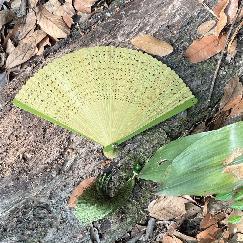 全竹扇子折扇镂空蜻蜓扇子6寸便携原竹绿色中国风古风古典舞蹈扇