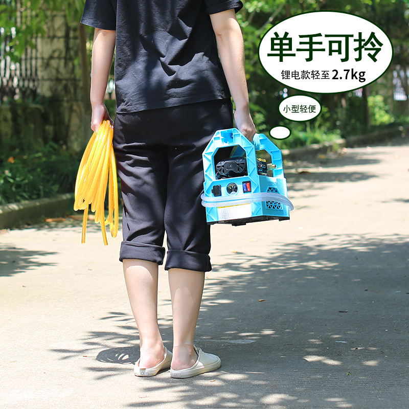 充电水泵便携式家用户外浇菜充电式抽水泵12v小型农用灌溉打药泵