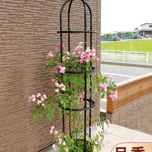 花架爬藤架铁线莲月季玫瑰架子支撑植物室外铁艺藤架户外阳台支架