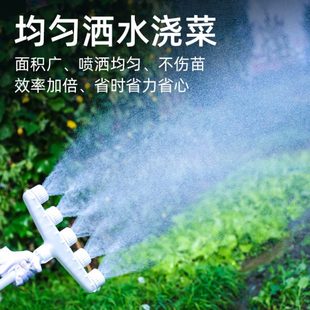 喷头浇花一水浇浇苗园林农用雾化喷头菜棚育水泵寸洒大灌溉地园艺