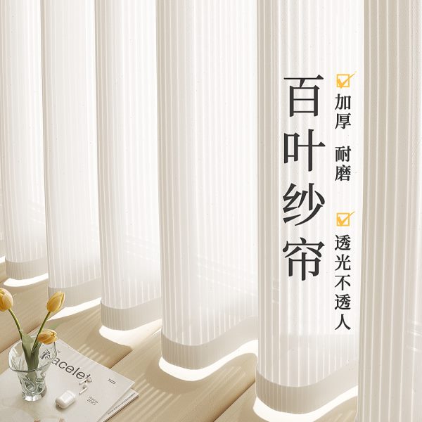 竖百叶纱帘窗纱窗帘客厅阳台飘窗梦幻帘透光不透人卧室2024新款