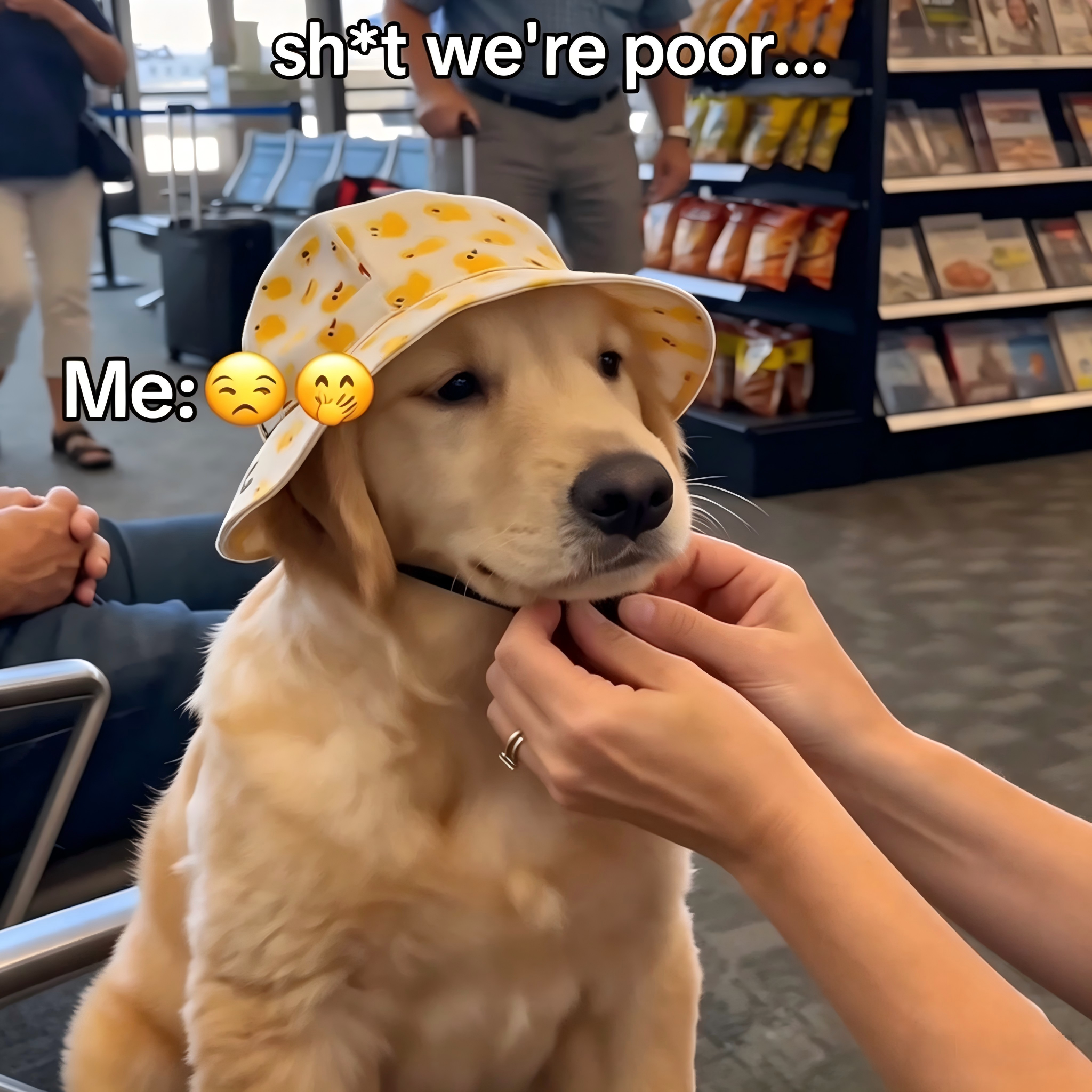 宠物帽子狗狗猫咪渔夫帽漏耳防晒帽金毛太阳帽子户外遮阳头套配饰